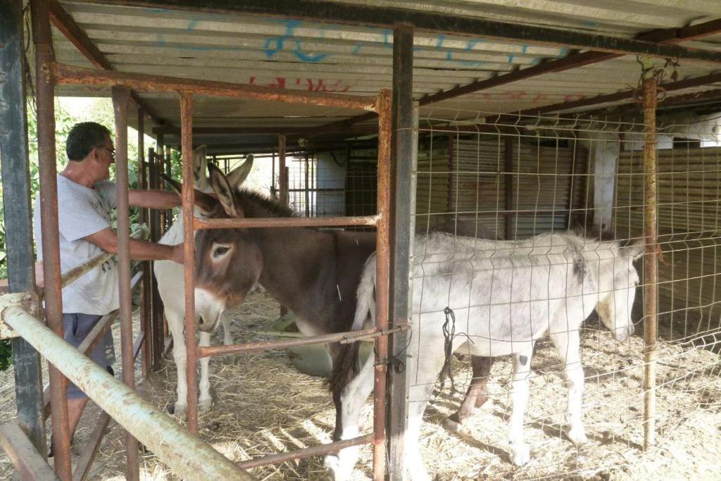 Finca Los Burros Tolatán Kültér fotó